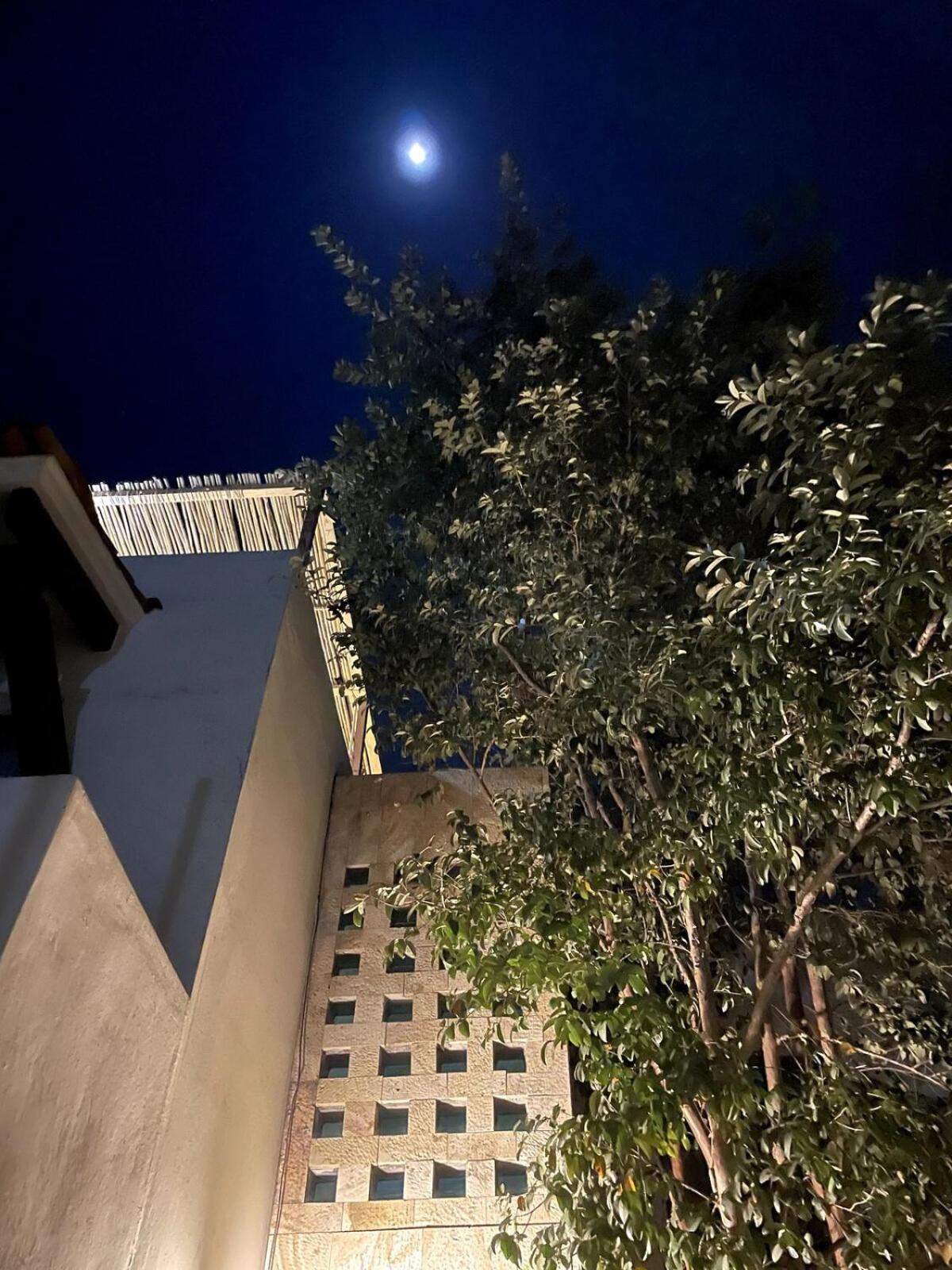 Villa Casa Colibri Oaxaca Con Jacuzzi En Terraza Santa Maria Atzompa Exterior foto